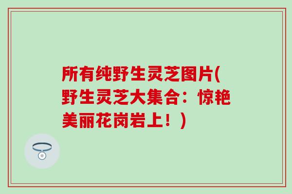 所有纯野生灵芝图片(野生灵芝大集合：惊艳美丽花岗岩上！)