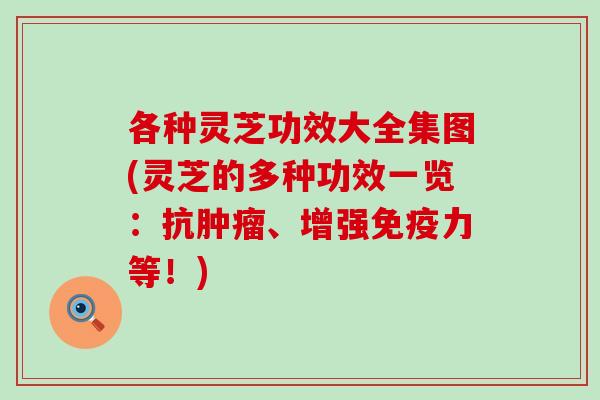 各种灵芝功效大全集图(灵芝的多种功效一览：抗肿瘤、增强免疫力等！)