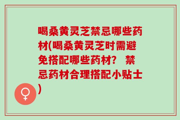 喝桑黄灵芝禁忌哪些药材(喝桑黄灵芝时需避免搭配哪些药材？ 禁忌药材合理搭配小贴士)