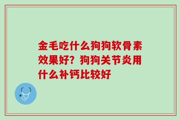 金毛吃什么狗狗软骨素效果好？狗狗关节炎用什么补钙比较好