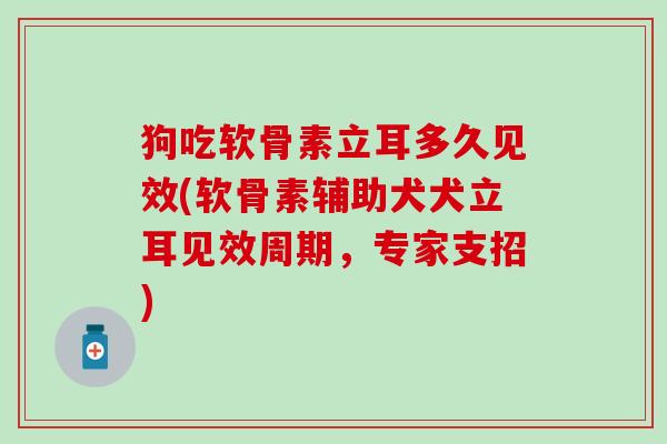 狗吃软骨素立耳多久见效(软骨素辅助犬犬立耳见效周期，专家支招)