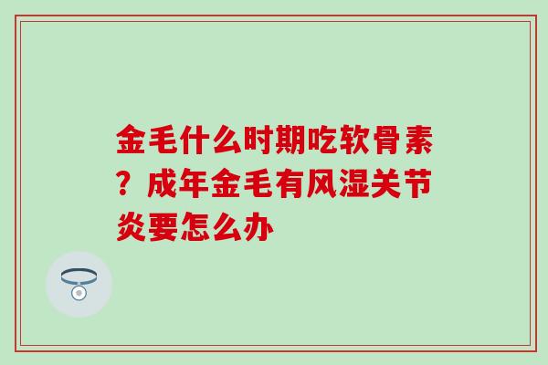 金毛什么时期吃软骨素？成年金毛有风湿关节炎要怎么办