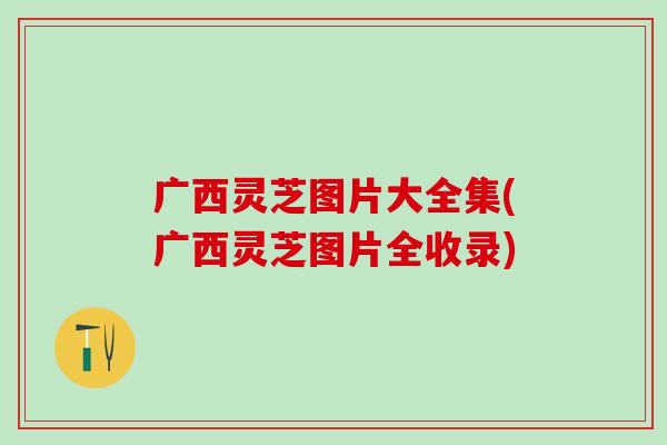 广西灵芝图片大全集(广西灵芝图片全收录)