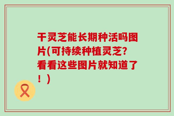 干灵芝能长期种活吗图片(可持续种植灵芝？看看这些图片就知道了！)