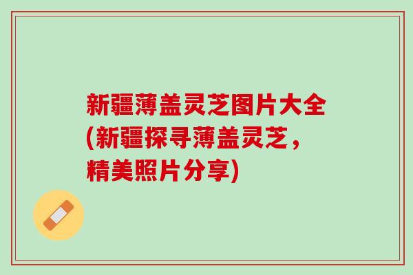 新疆薄盖灵芝图片大全(新疆探寻薄盖灵芝，精美照片分享)