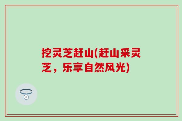 挖灵芝赶山(赶山采灵芝，乐享自然风光)