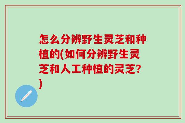 怎么分辨野生灵芝和种植的(如何分辨野生灵芝和人工种植的灵芝？)