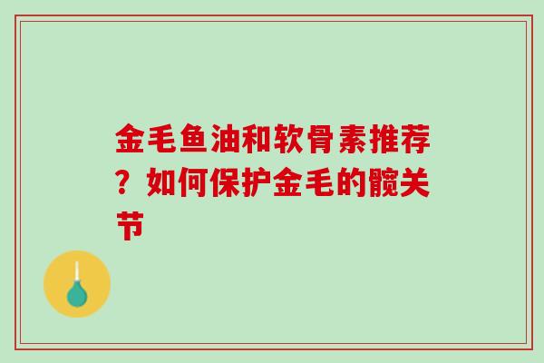 金毛鱼油和软骨素推荐？如何保护金毛的髋关节