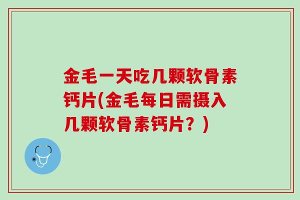 金毛一天吃几颗软骨素钙片(金毛每日需摄入几颗软骨素钙片？)