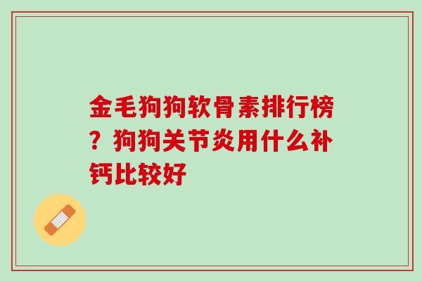 金毛狗狗软骨素排行榜？狗狗关节炎用什么补钙比较好