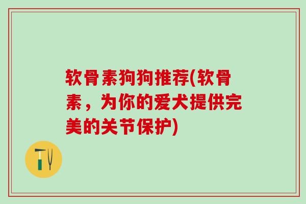 软骨素狗狗推荐(软骨素，为你的爱犬提供完美的关节保护)
