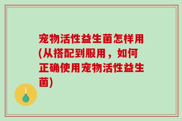 宠物活性益生菌怎样用(从搭配到服用，如何正确使用宠物活性益生菌)