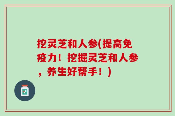 挖灵芝和人参(提高免疫力！挖掘灵芝和人参，养生好帮手！)