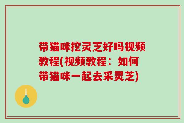 带猫咪挖灵芝好吗视频教程(视频教程：如何带猫咪一起去采灵芝)