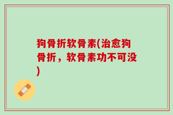 狗骨折软骨素(治愈狗骨折，软骨素功不可没)