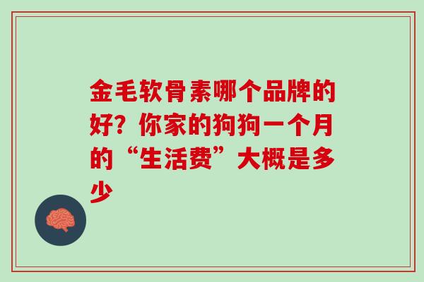 金毛软骨素哪个品牌的好？你家的狗狗一个月的“生活费”大概是多少