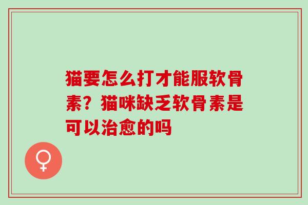 猫要怎么打才能服软骨素？猫咪缺乏软骨素是可以治愈的吗