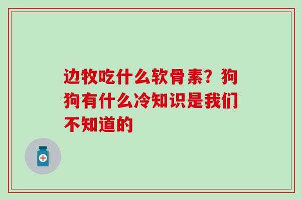 边牧吃什么软骨素？狗狗有什么冷知识是我们不知道的
