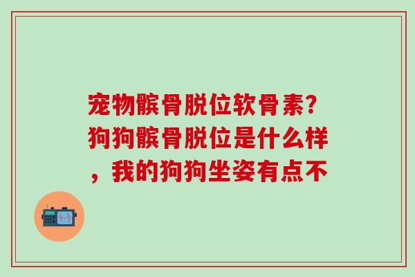 宠物髌骨脱位软骨素？狗狗髌骨脱位是什么样，我的狗狗坐姿有点不