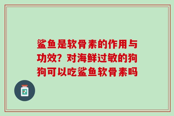 鲨鱼是软骨素的作用与功效？对海鲜过敏的狗狗可以吃鲨鱼软骨素吗