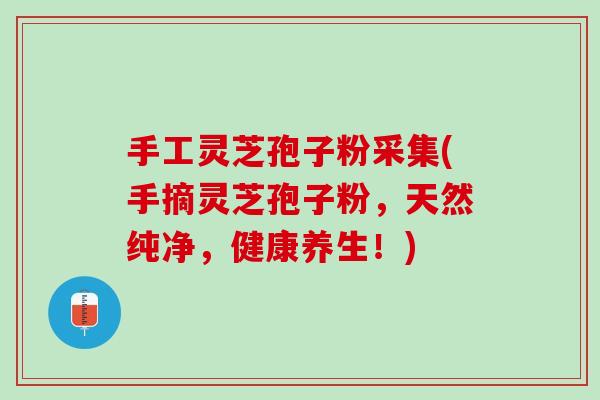 手工灵芝孢子粉采集(手摘灵芝孢子粉，天然纯净，健康养生！)