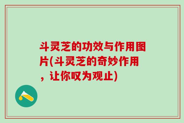 斗灵芝的功效与作用图片(斗灵芝的奇妙作用，让你叹为观止)