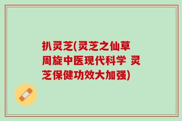 扒灵芝(灵芝之仙草 周旋中医现代科学 灵芝保健功效大加强)