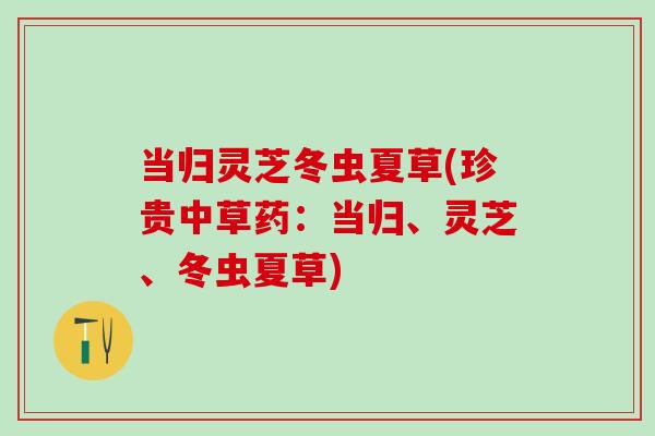 当归灵芝冬虫夏草(珍贵中草药：当归、灵芝、冬虫夏草)