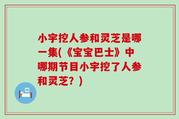 小宇挖人参和灵芝是哪一集(《宝宝巴士》中哪期节目小宇挖了人参和灵芝？)