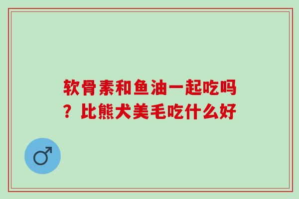 软骨素和鱼油一起吃吗？比熊犬美毛吃什么好