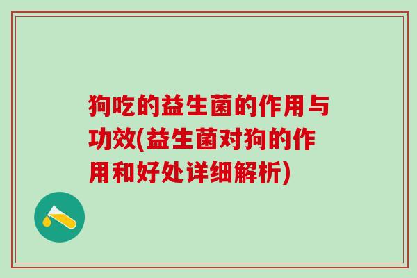 狗吃的益生菌的作用与功效(益生菌对狗的作用和好处详细解析)