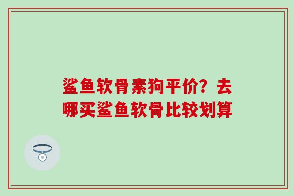 鲨鱼软骨素狗平价？去哪买鲨鱼软骨比较划算