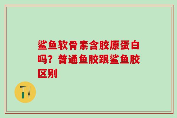鲨鱼软骨素含胶原蛋白吗？普通鱼胶跟鲨鱼胶区别