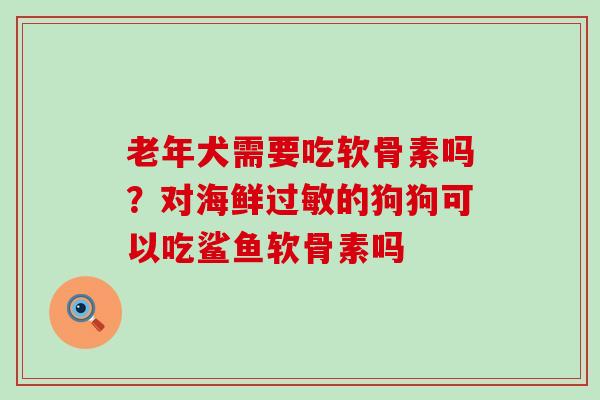 老年犬需要吃软骨素吗？对海鲜过敏的狗狗可以吃鲨鱼软骨素吗