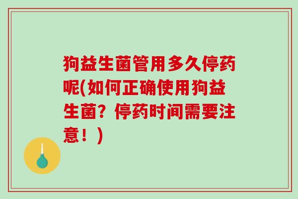 狗益生菌管用多久停药呢(如何正确使用狗益生菌？停药时间需要注意！)