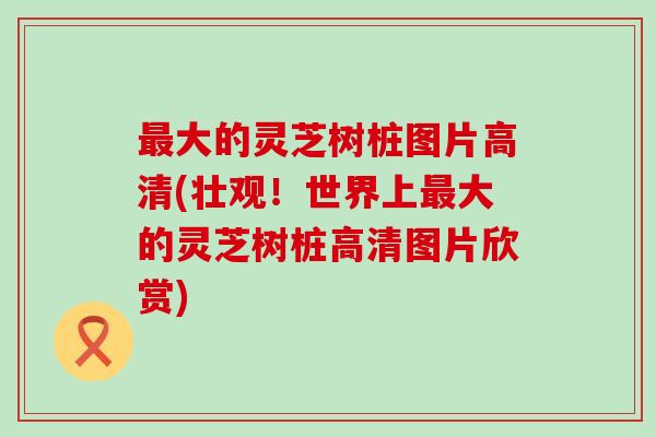 最大的灵芝树桩图片高清(壮观！世界上最大的灵芝树桩高清图片欣赏)