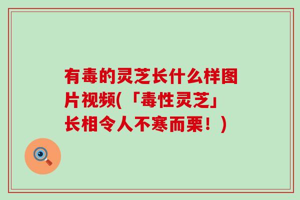 有毒的灵芝长什么样图片视频(「毒性灵芝」长相令人不寒而栗！)
