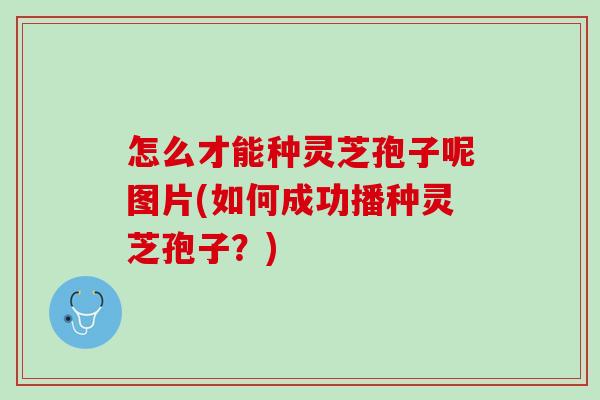 怎么才能种灵芝孢子呢图片(如何成功播种灵芝孢子？)
