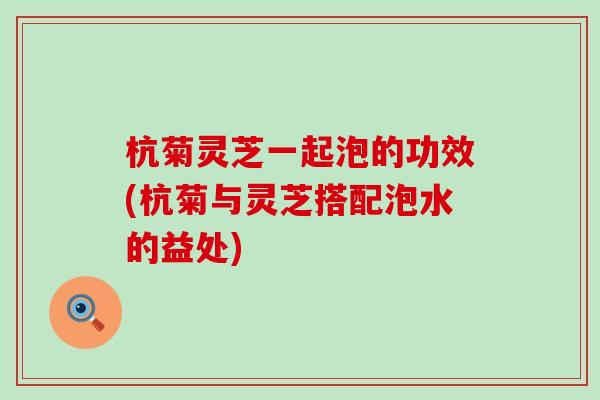 杭菊灵芝一起泡的功效(杭菊与灵芝搭配泡水的益处)