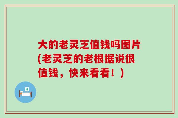 大的老灵芝值钱吗图片(老灵芝的老根据说很值钱，快来看看！)