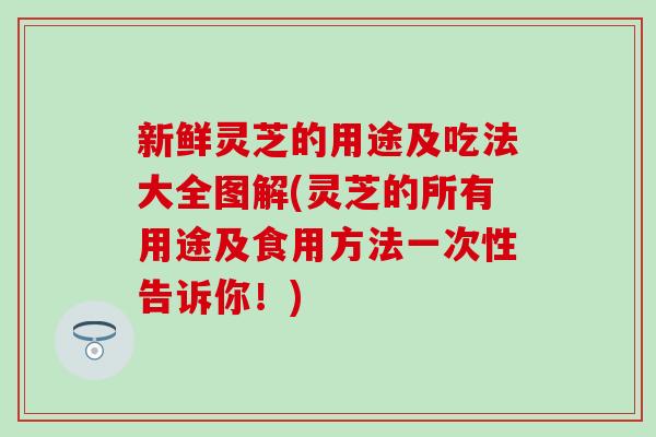 新鲜灵芝的用途及吃法大全图解(灵芝的所有用途及食用方法一次性告诉你！)