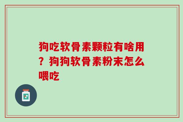 狗吃软骨素颗粒有啥用？狗狗软骨素粉末怎么喂吃