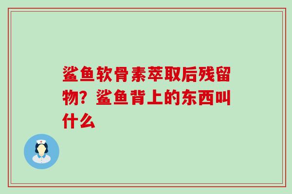 鲨鱼软骨素萃取后残留物？鲨鱼背上的东西叫什么