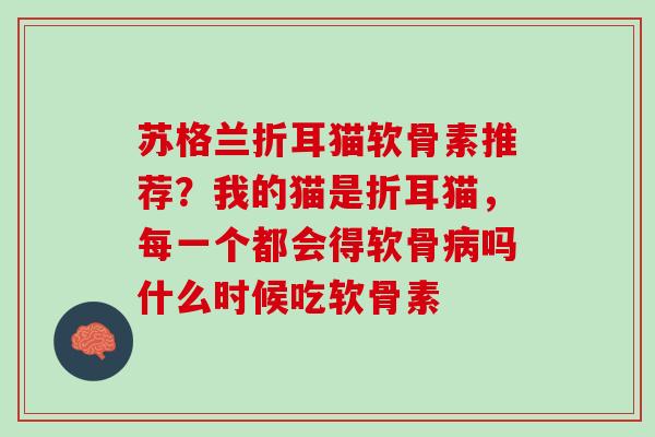 苏格兰折耳猫软骨素推荐？我的猫是折耳猫，每一个都会得软骨病吗什么时候吃软骨素
