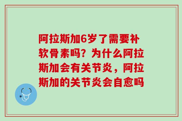 阿拉斯加6岁了需要补软骨素吗？为什么阿拉斯加会有关节炎，阿拉斯加的关节炎会自愈吗