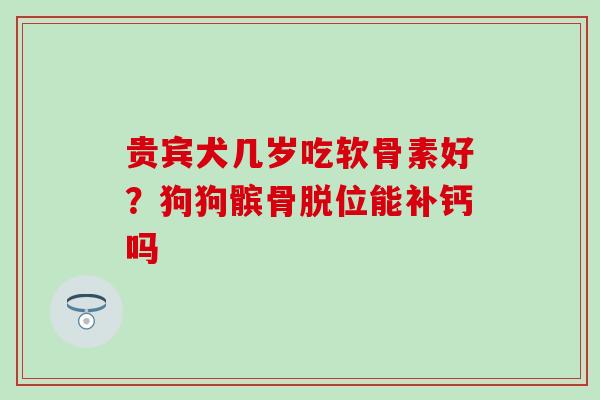 贵宾犬几岁吃软骨素好？狗狗髌骨脱位能补钙吗