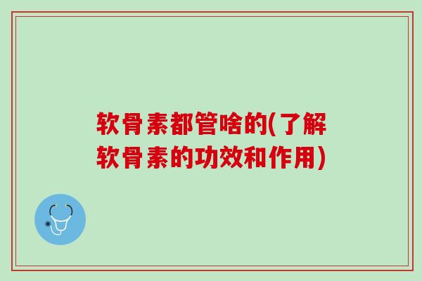软骨素都管啥的(了解软骨素的功效和作用)