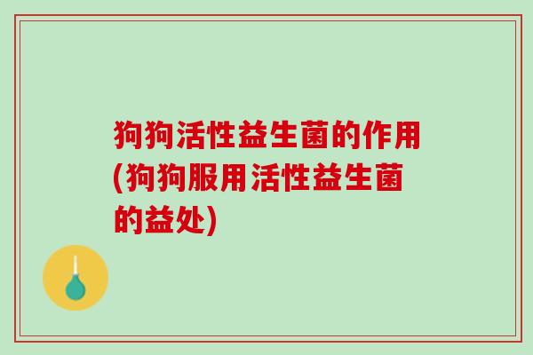 狗狗活性益生菌的作用(狗狗服用活性益生菌的益处)