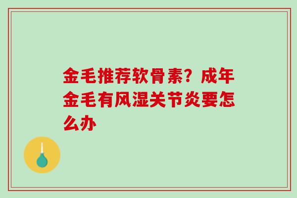 金毛推荐软骨素？成年金毛有风湿关节炎要怎么办