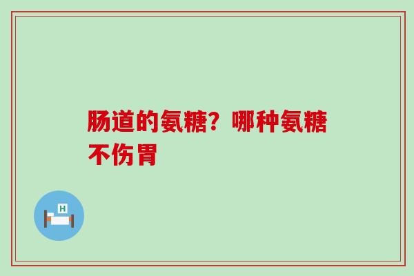 肠道的氨糖？哪种氨糖不伤胃